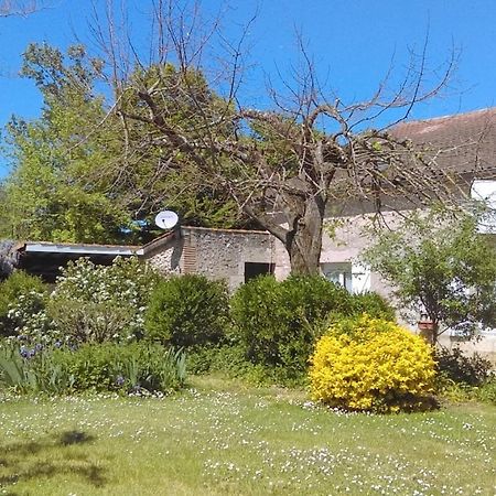 Les Glycines Villa Saint-Pierre-de-Buzet Dış mekan fotoğraf