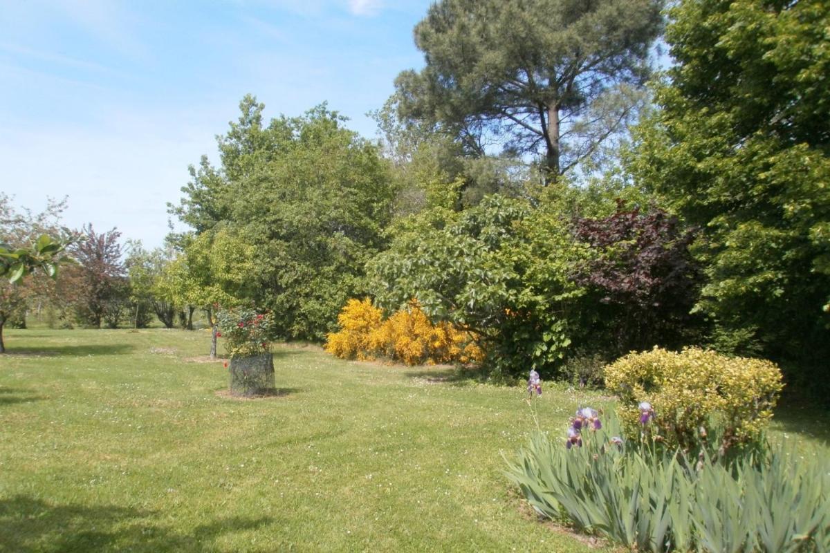 Les Glycines Villa Saint-Pierre-de-Buzet Dış mekan fotoğraf