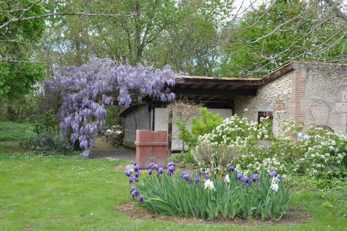 Les Glycines Villa Saint-Pierre-de-Buzet Dış mekan fotoğraf